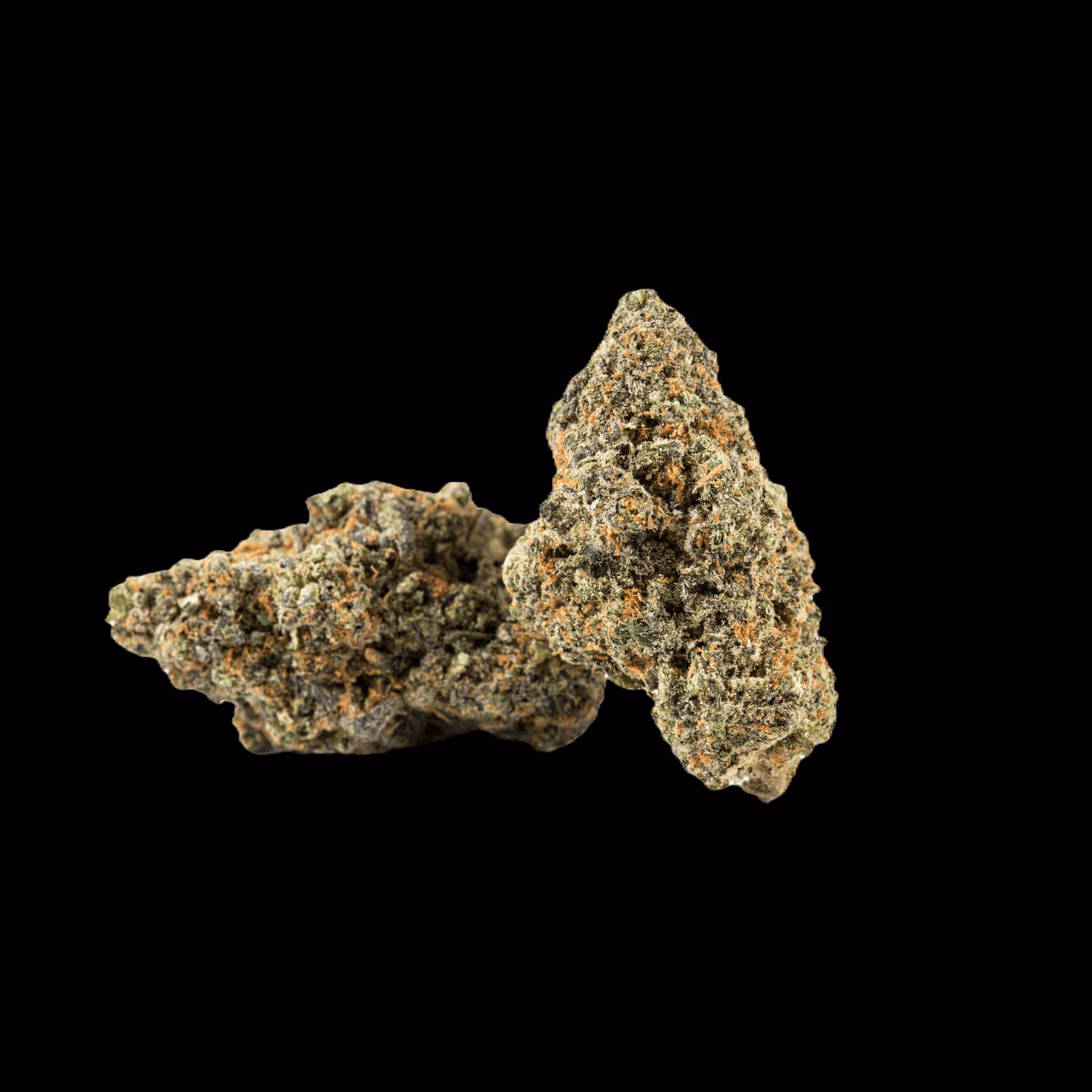 Cannabis Dispensary Canaza Weed Shop - Bangkok Rama 9 - Dispensary Cannabis logo