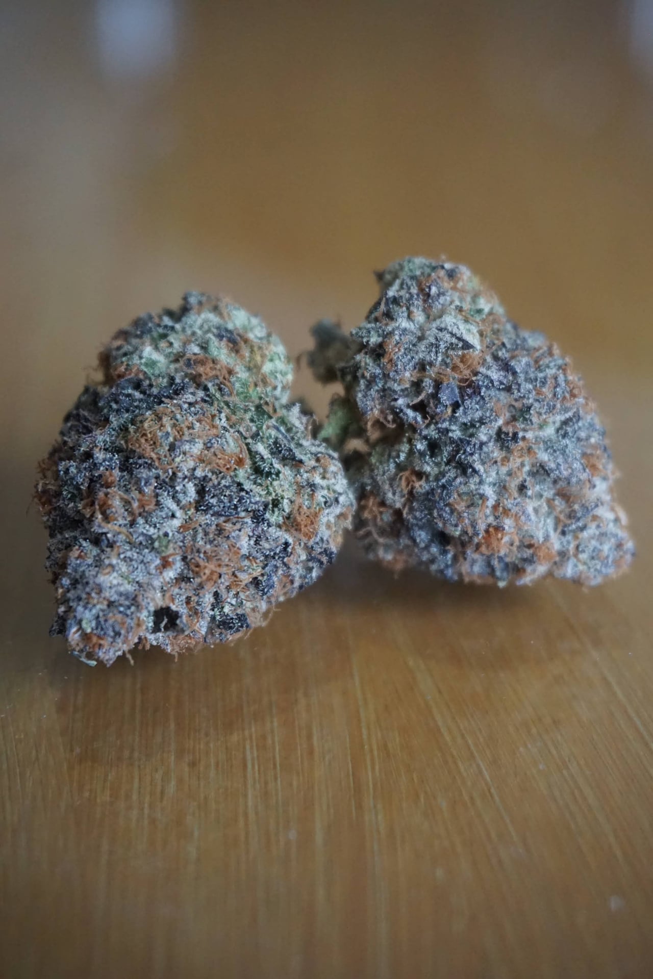Beardog Weed Delivery
