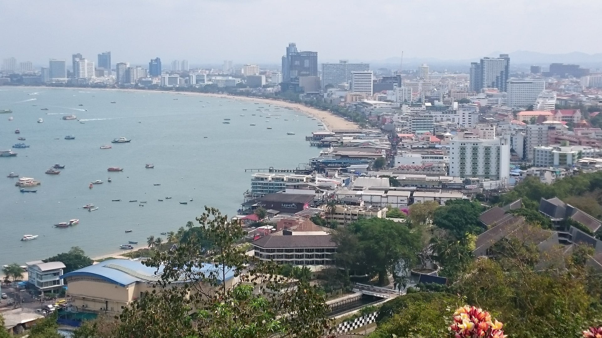 DANQ Cannabis Dispensary Pattaya Beach