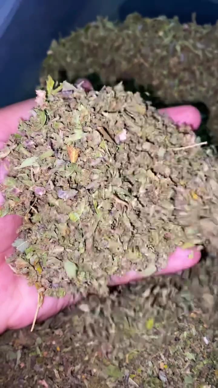 Area 420