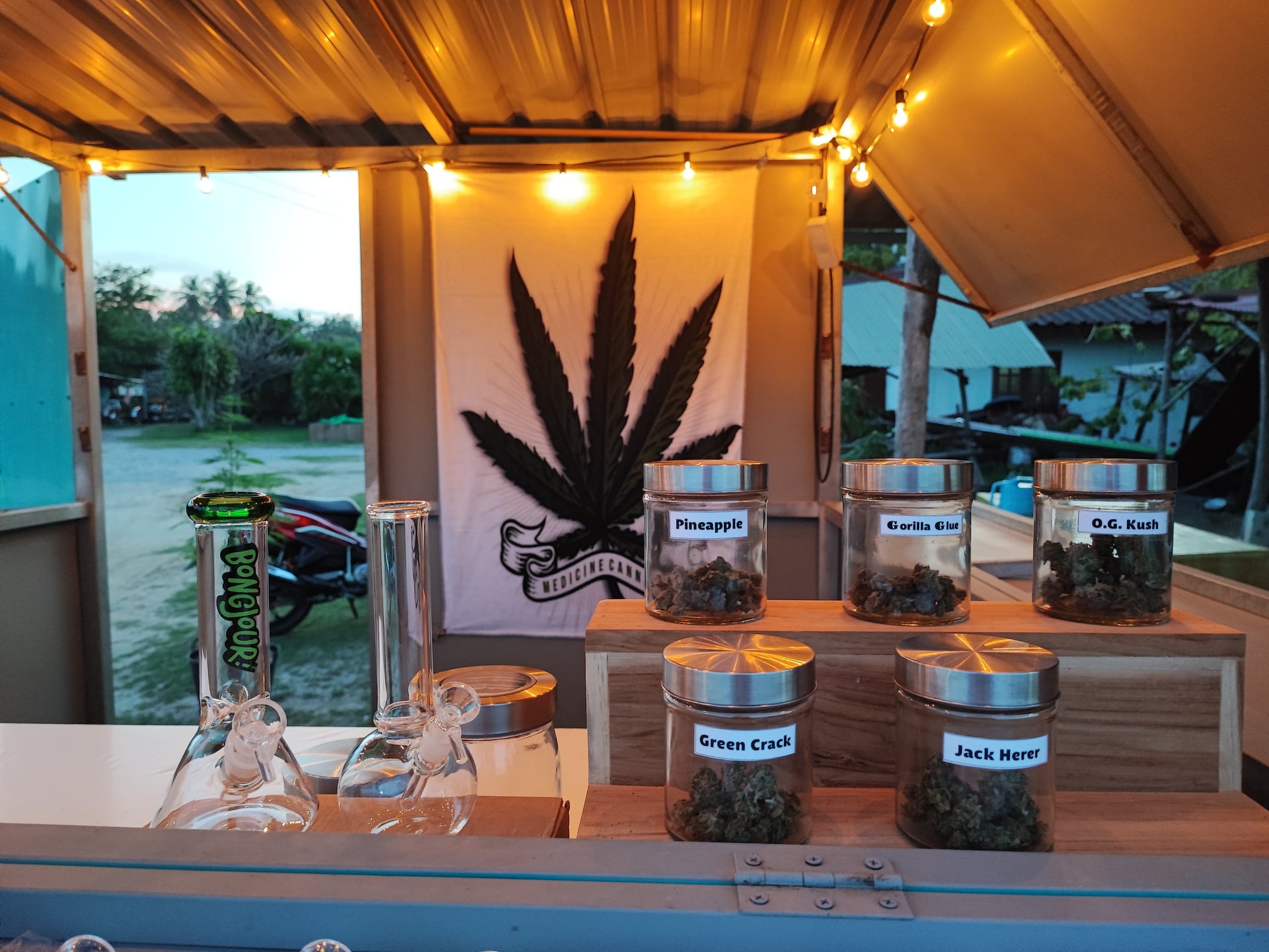 Jack Herer Salok Bat