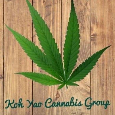KY Cannabis Group