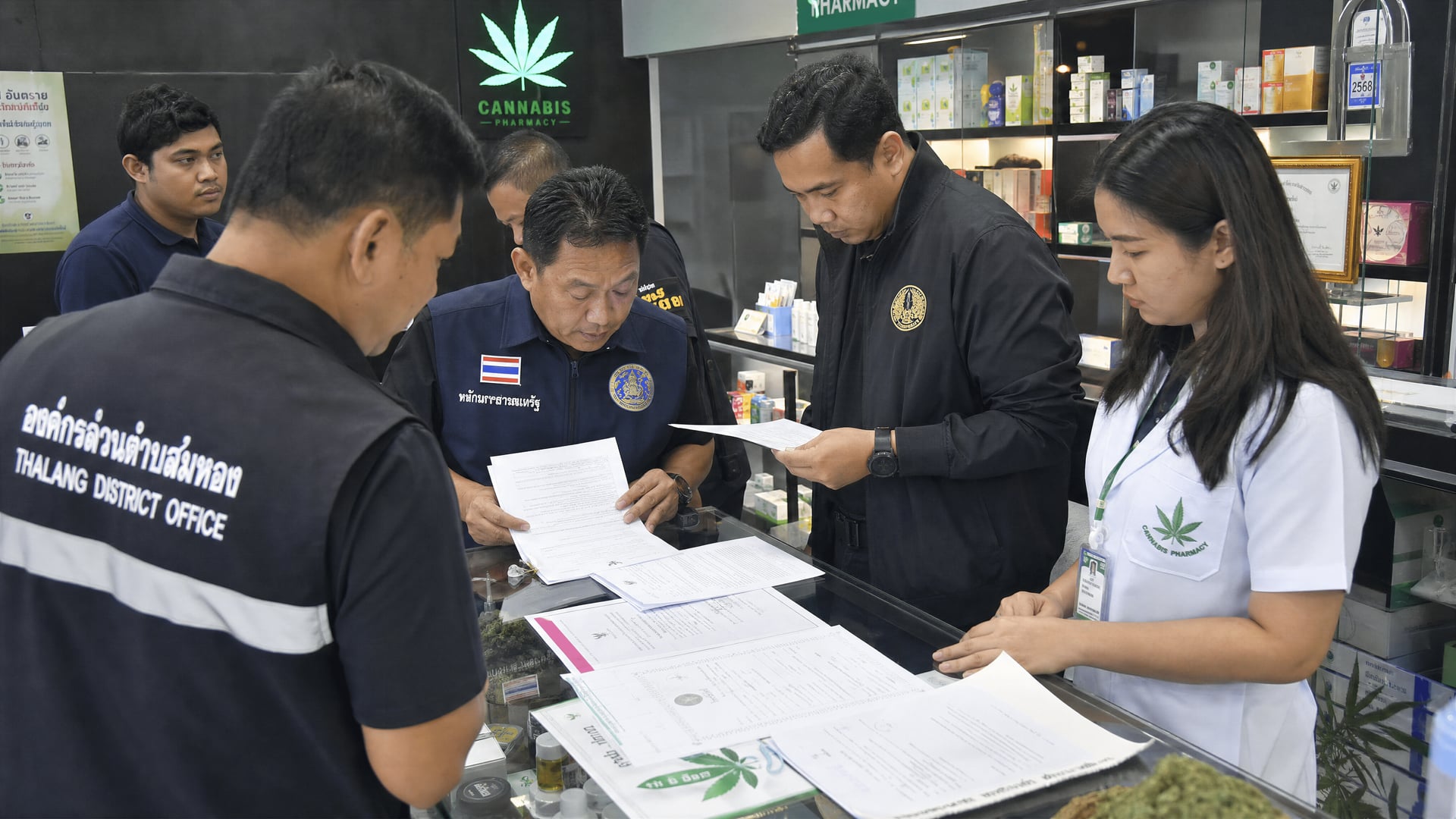 Phuket officials reviewing cannabis shop records and medical certificates in Thalang