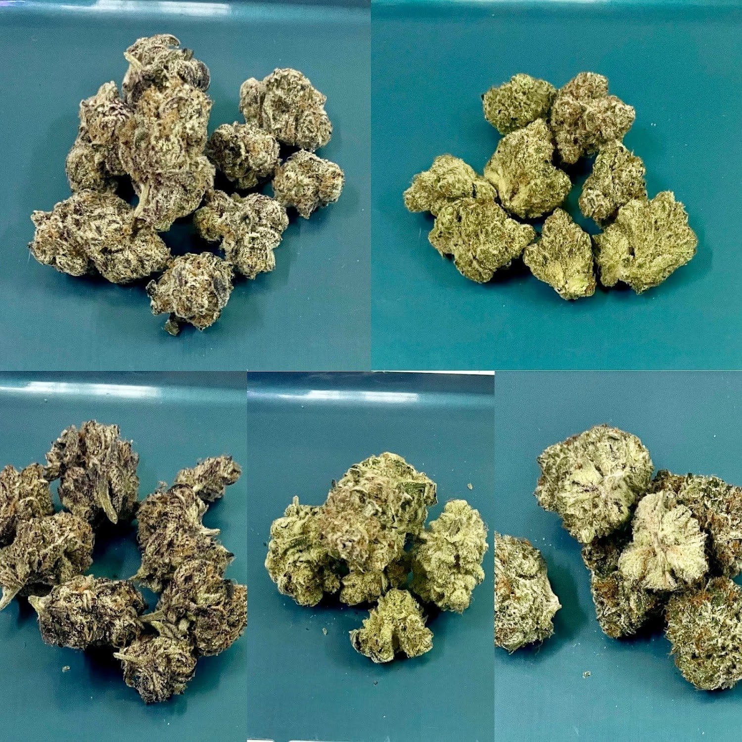 Mardi.weed