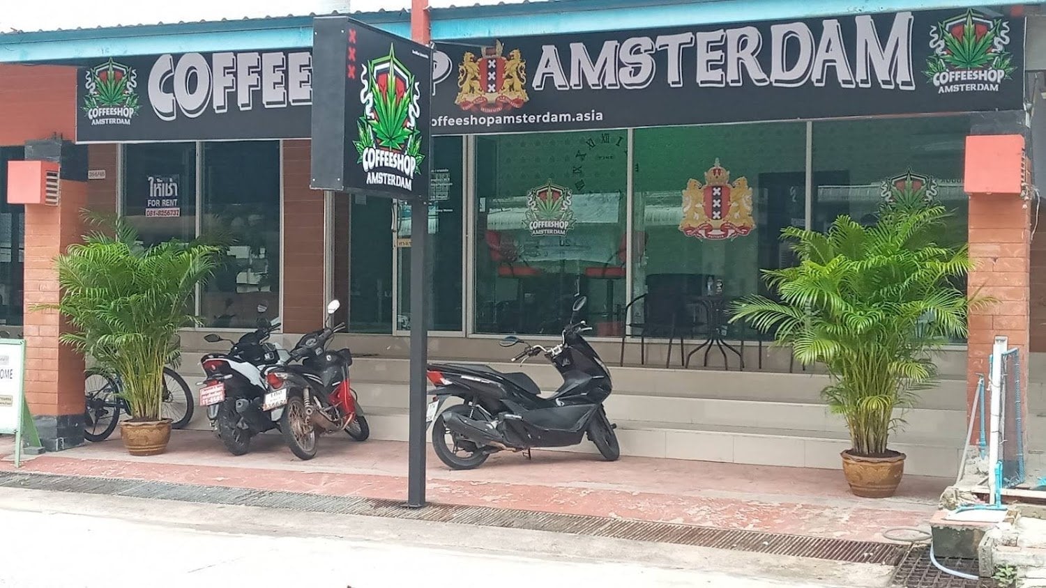 Coffeeshop Amsterdam. No.1 The Best Cannabis