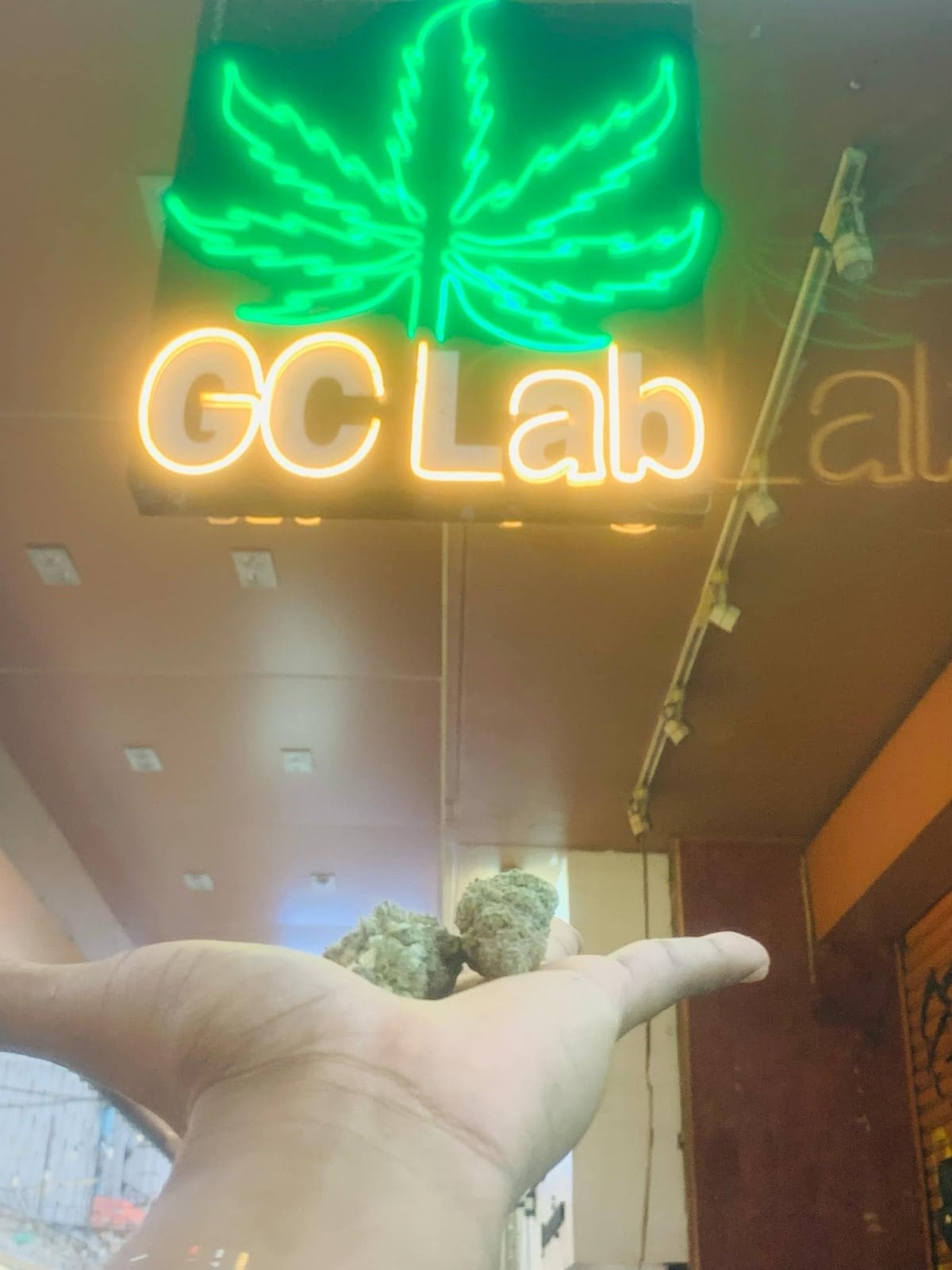 Cannabis Green Culture Lab Pharmacare