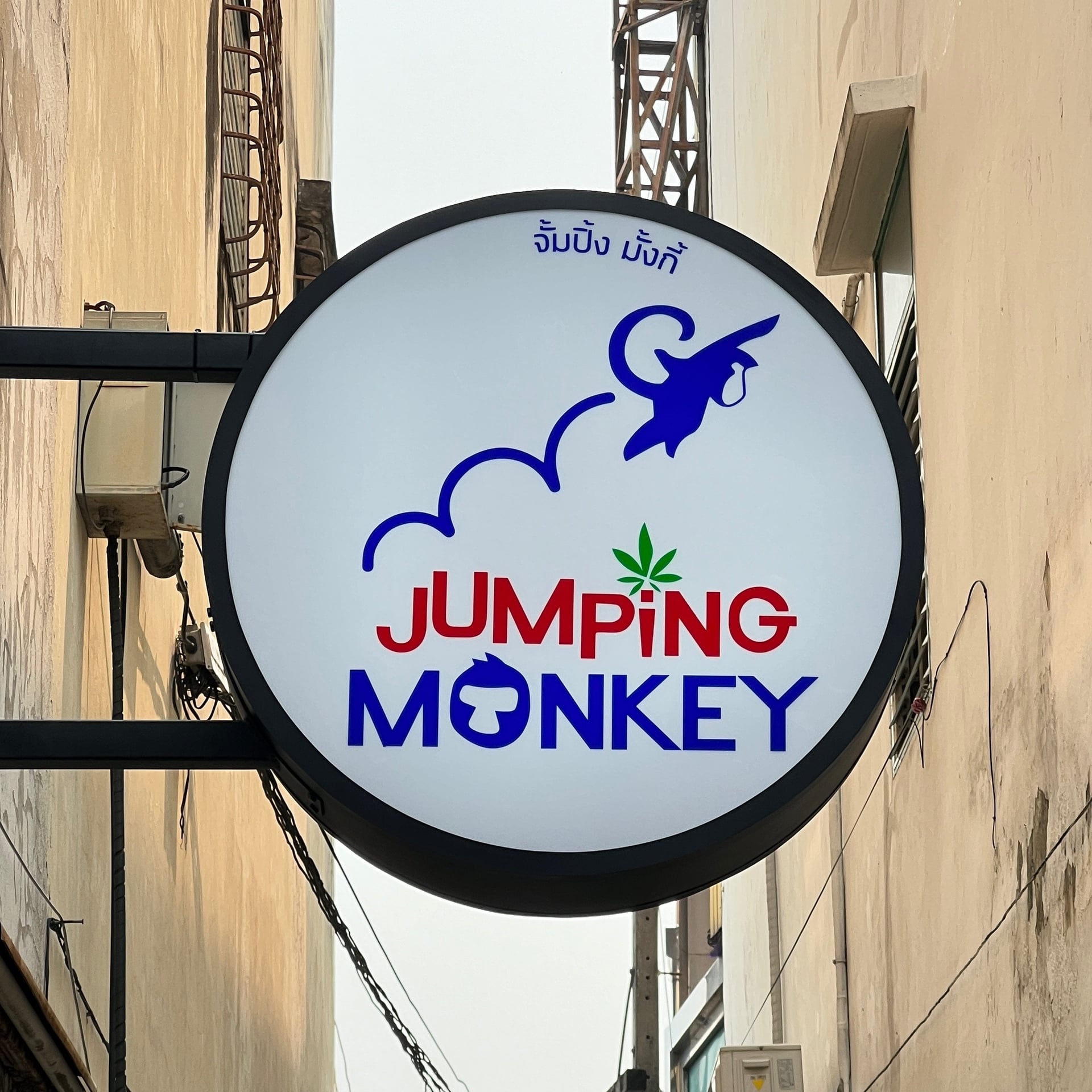 Jumping Monkey