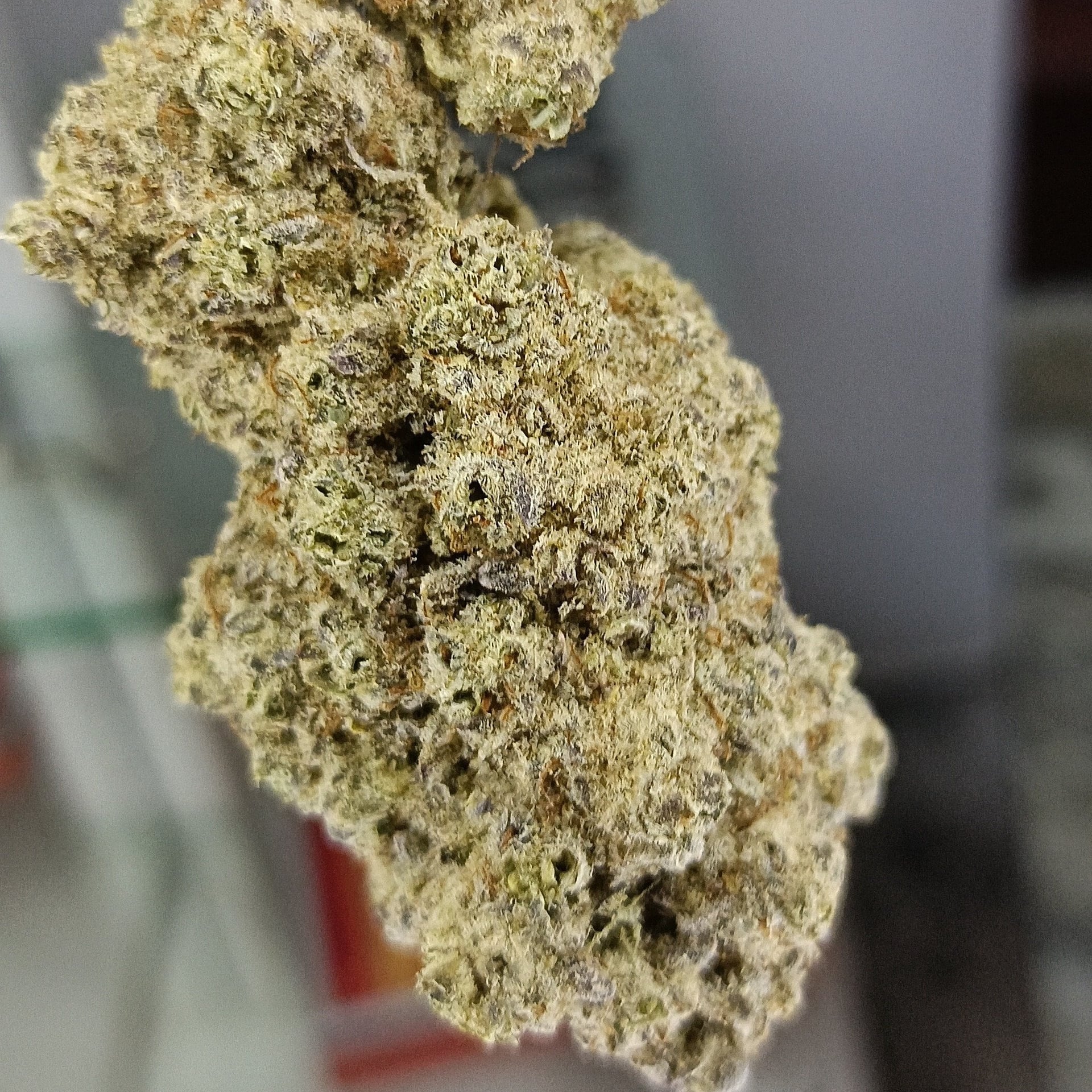 Khan's Cannabis & Weed Street