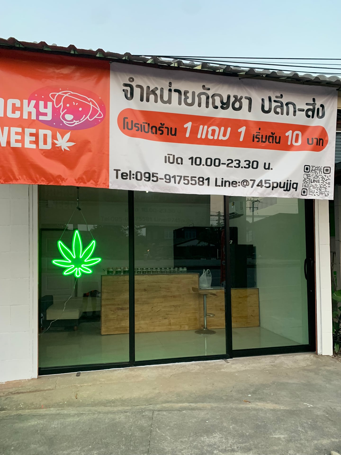 Nakhon Phanom Cannabis