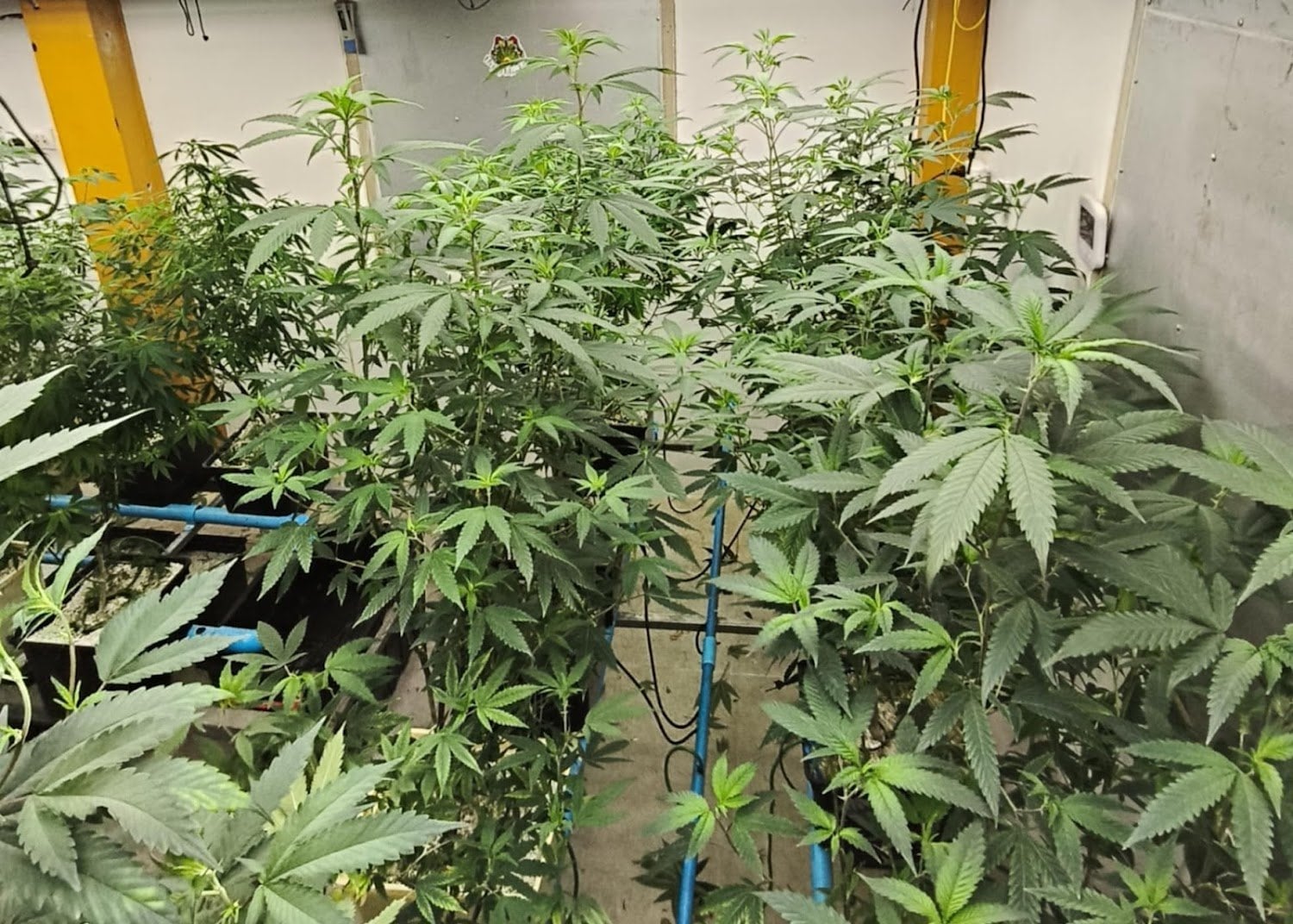 Happyisland X Baan Chainarong OG by.Phra Ae