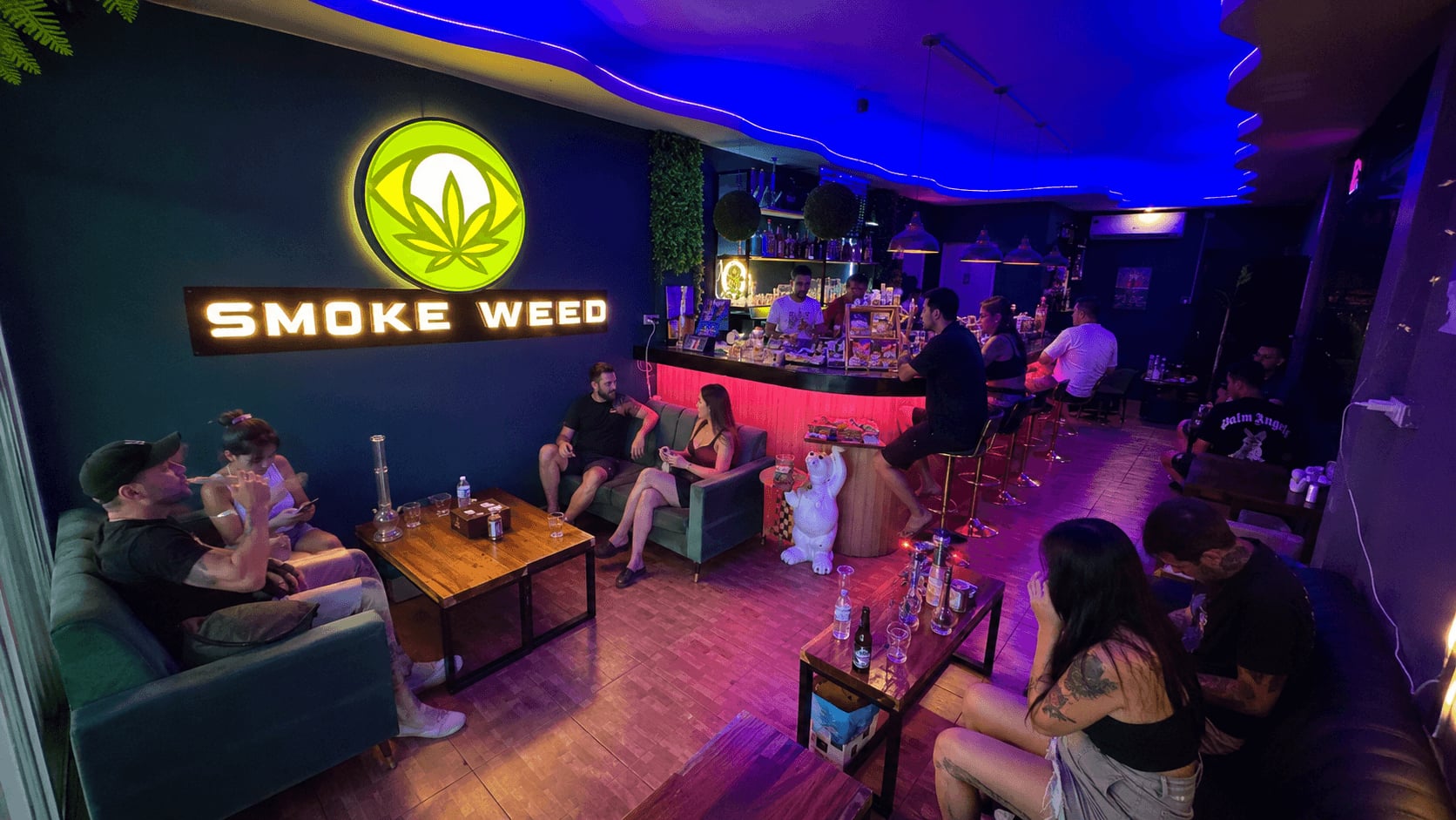 Baboon Premium Cannabis And Lounge Crafted Weed