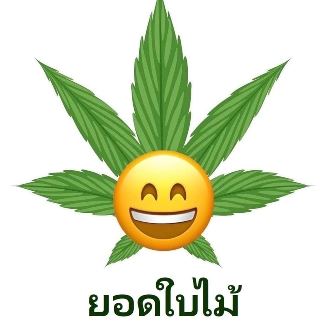 Yodbaimai South 3Rd logo