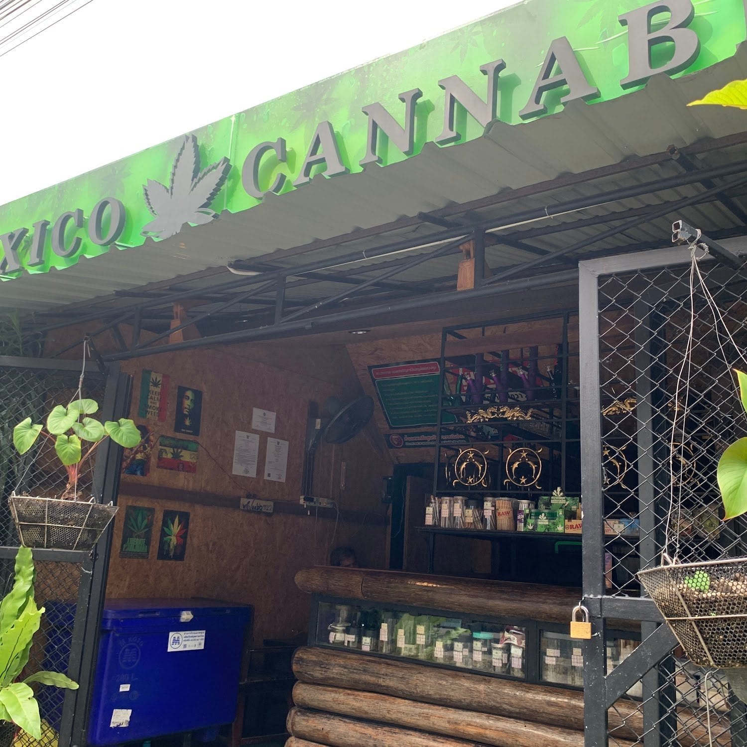 Mexico Cannabis