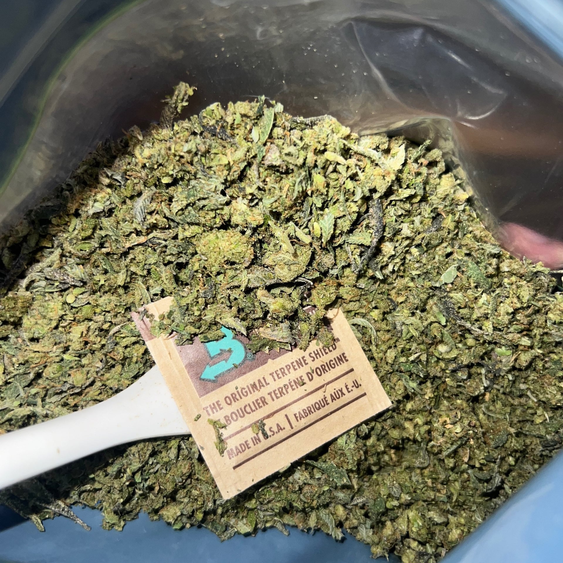 Succeed Cannabis