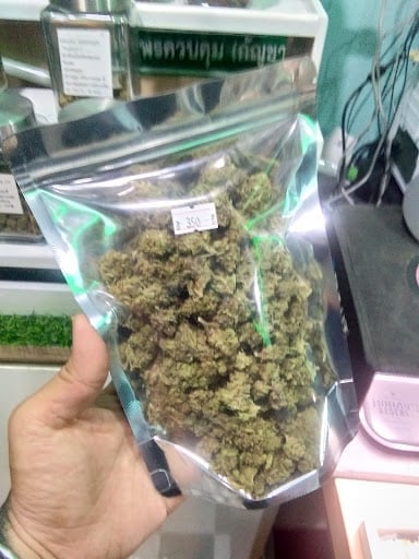 Green Haven