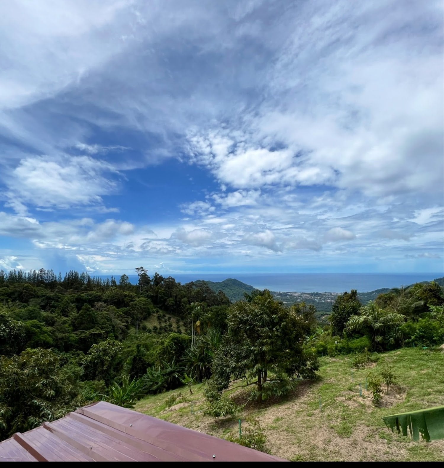 Za-Weed Samui