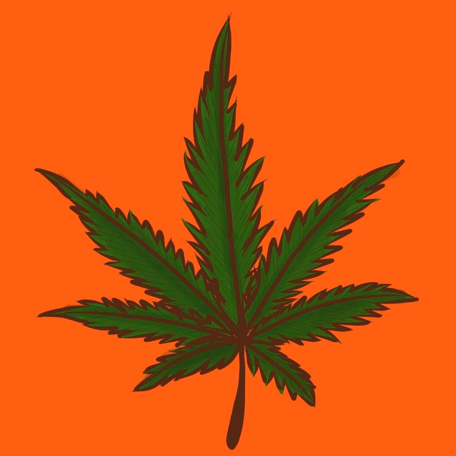Dispensario di cannabis Mr.t Cactus & Cannabis Farm logo