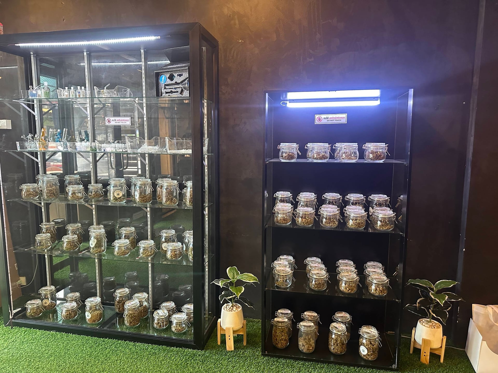 Green Power Cannabis & Kratom Chumphon