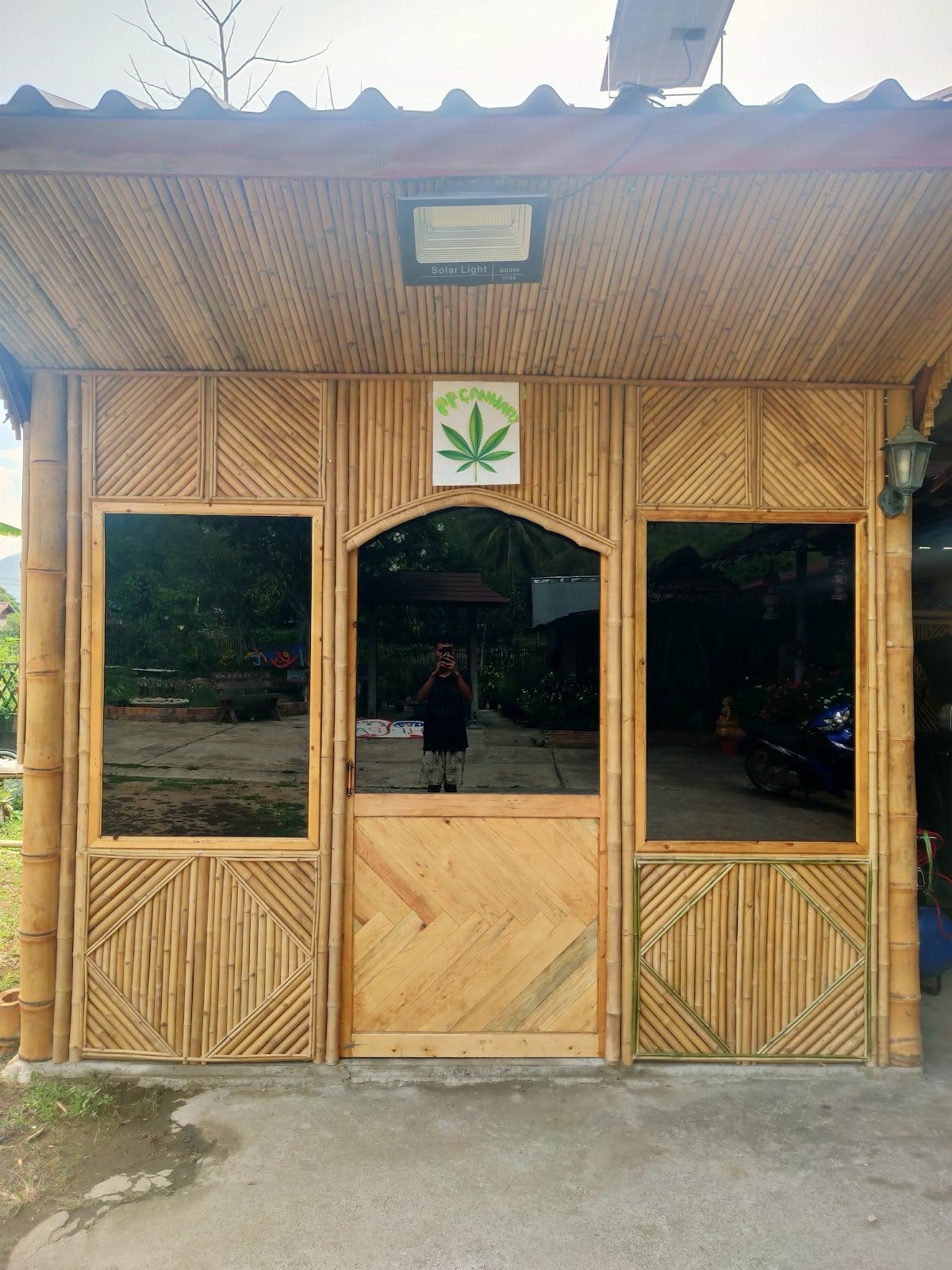 Pp Cannabis