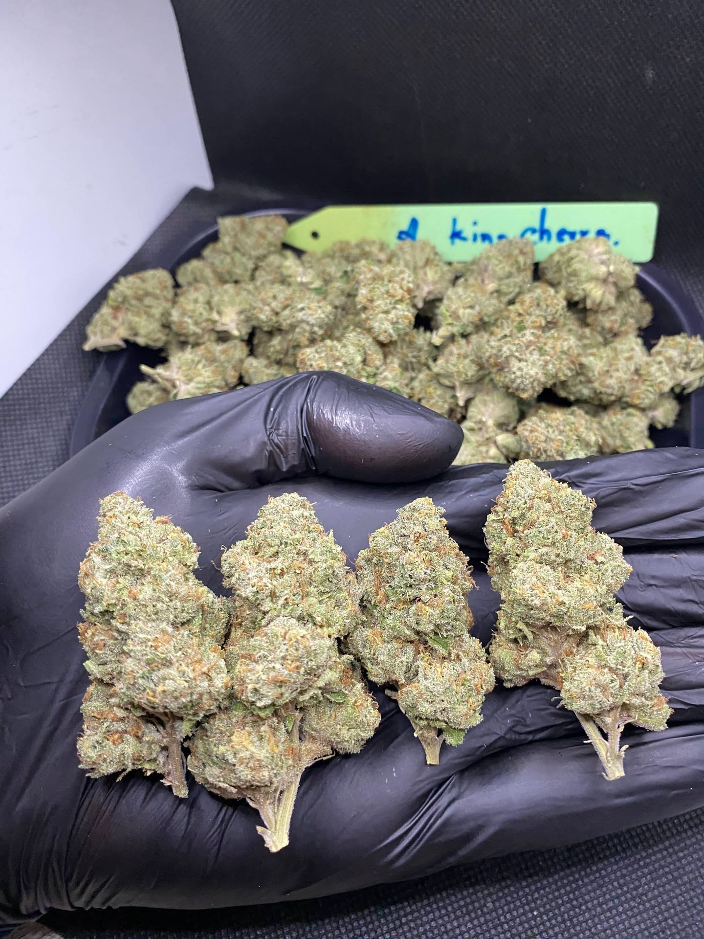 Stoner Corner