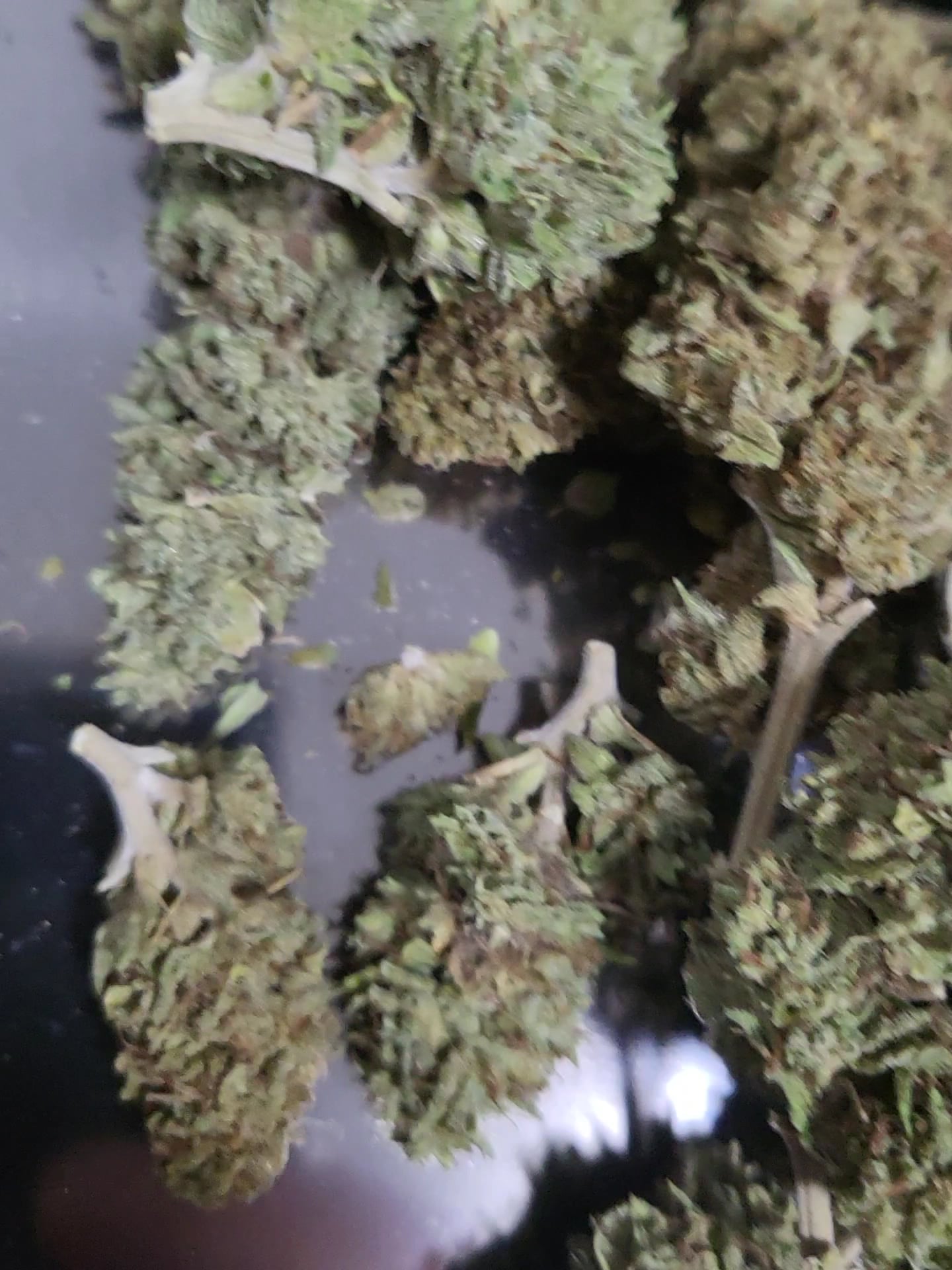 Nong Kung Weed