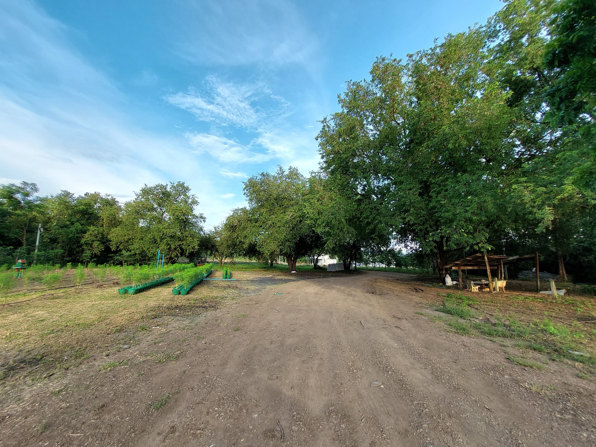 Highway Farm