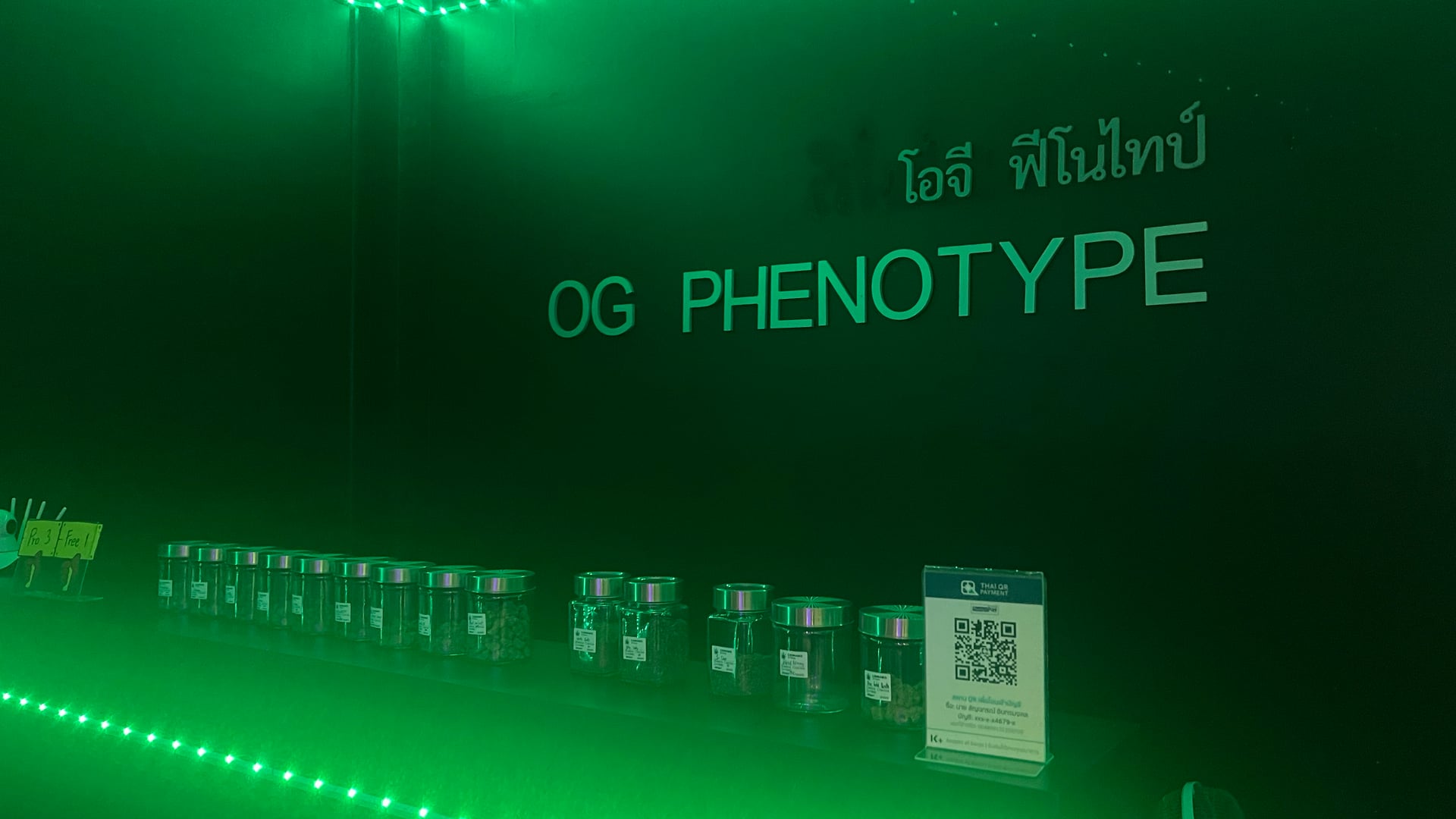OG Phenotype By Kellerher