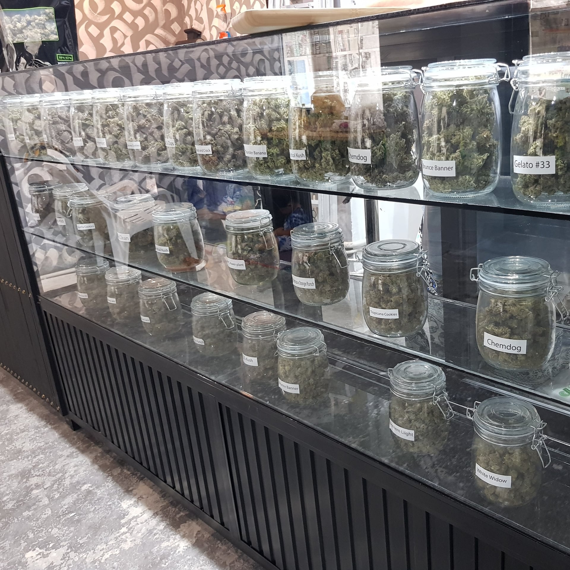 Wisdom Cannabis Farm