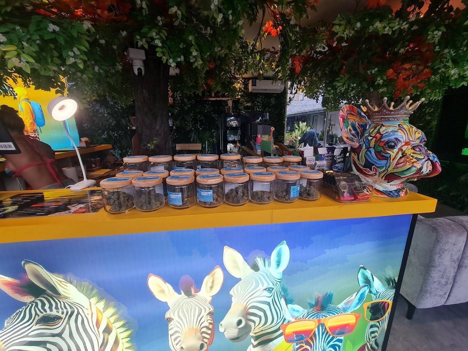 Starbuds Cannabis Pattaya Beach