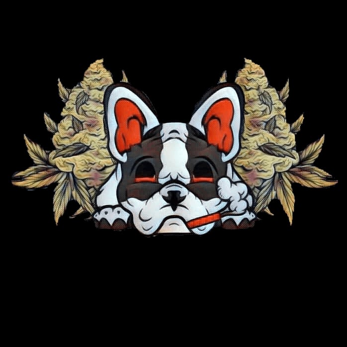 THC Cannabiz logo