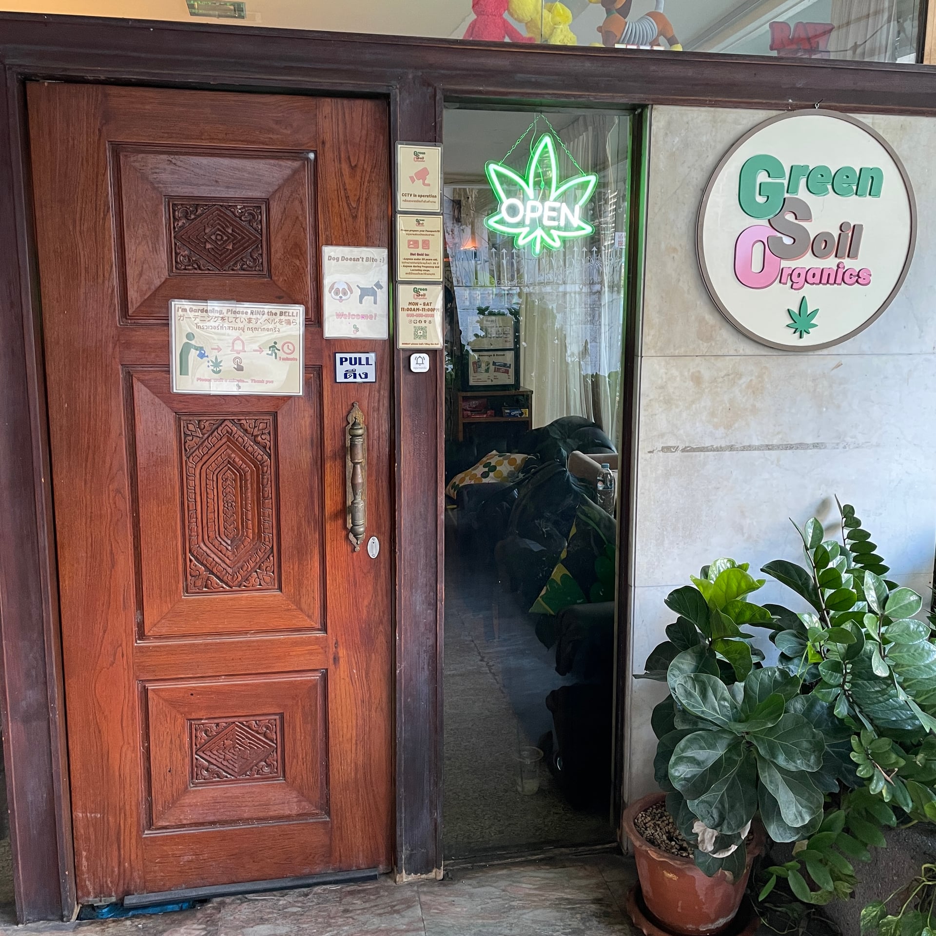 OUMI CANNABIS Ratchathewi