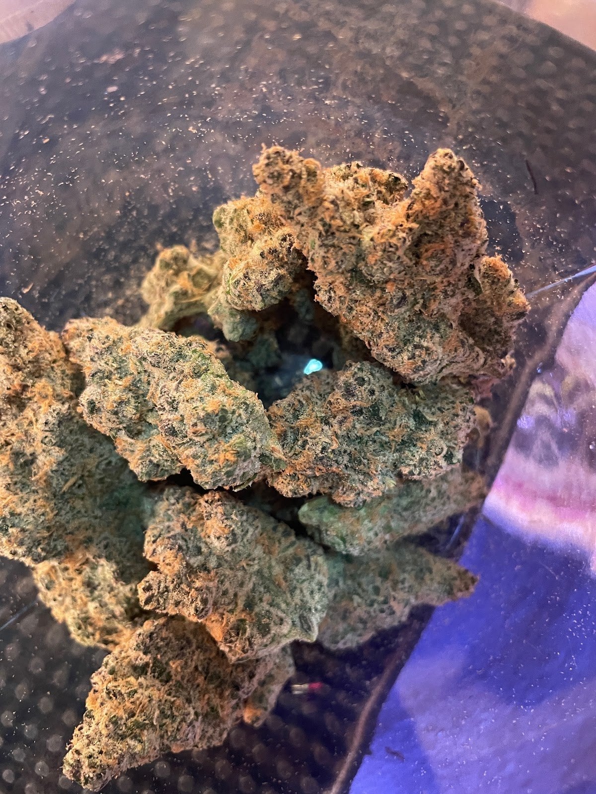 Apollo 1988 - Cannabis