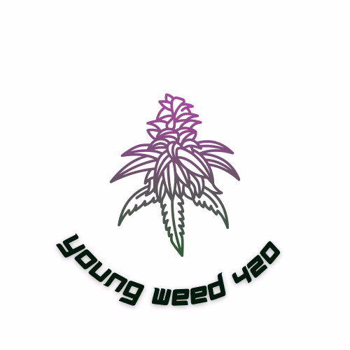 Cannabis Dispensary Youngweed420BKK in Bangkok logo