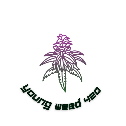 Cannabis Dispensary Youngweed420BKK logo