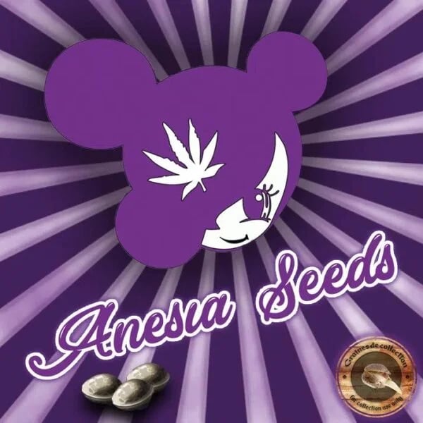 Cannabear