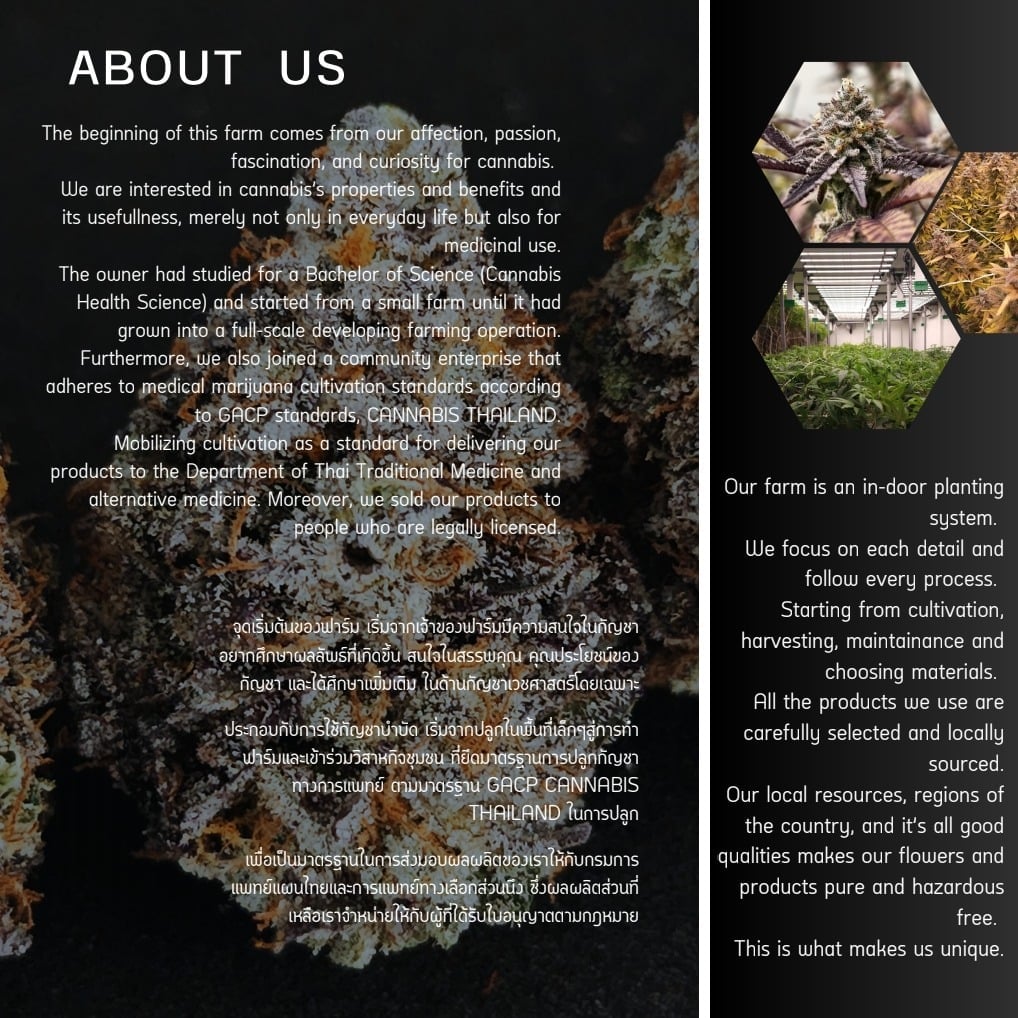 Herbies In South Cannabis Store Enjoy Ao Nang