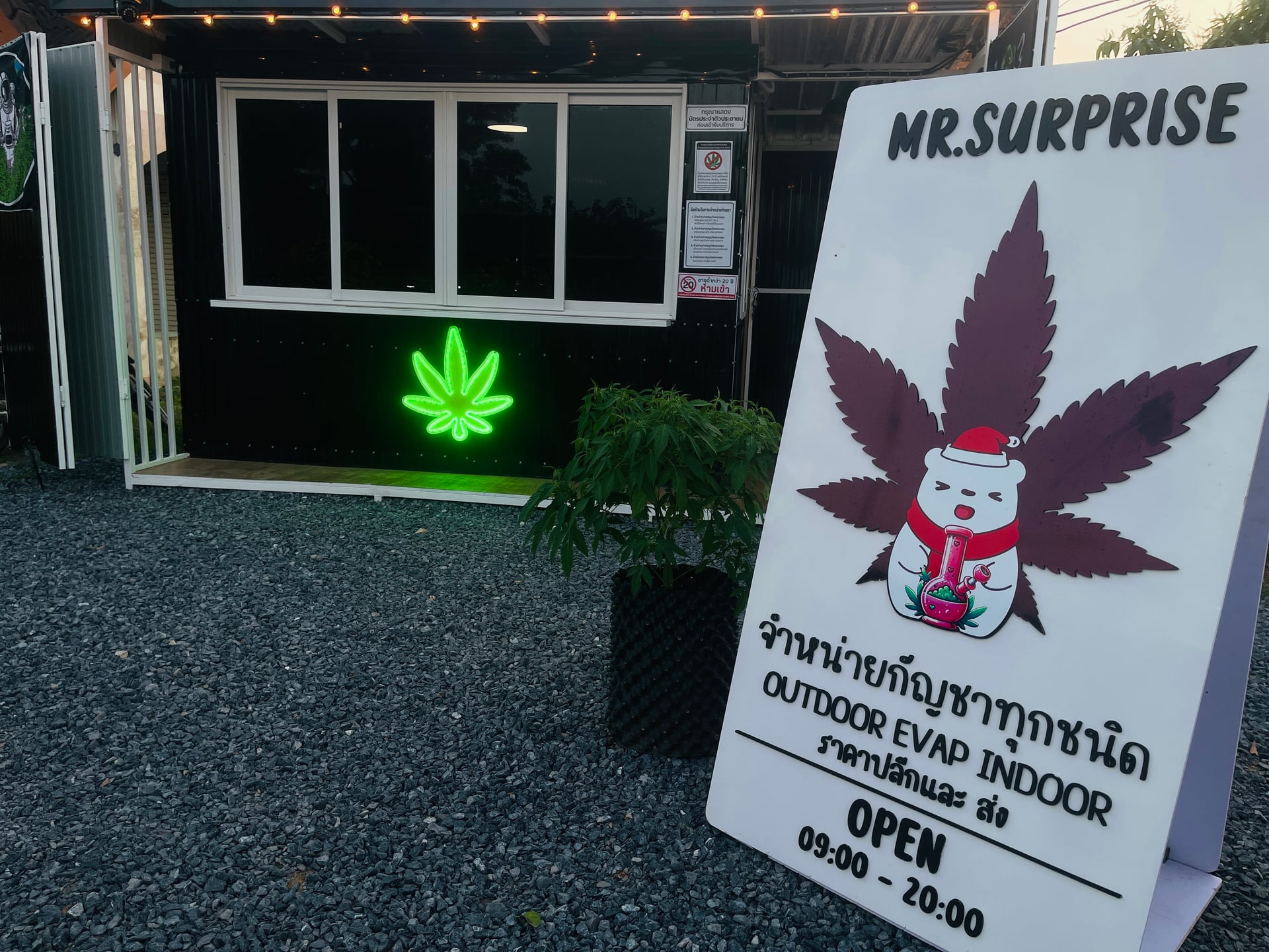 MR.Surprise Cannabis
