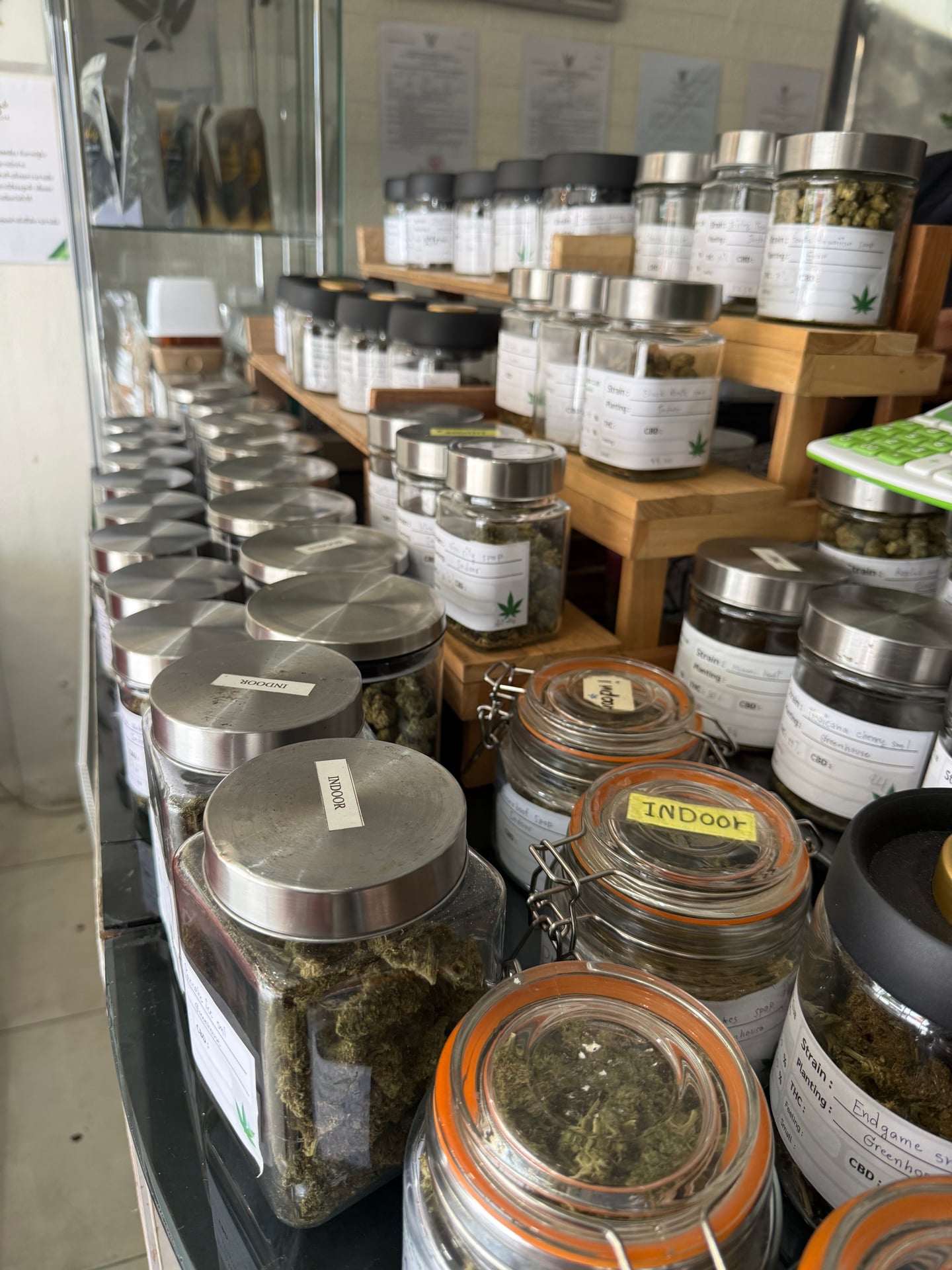 Thai Grower Club Chiang Mai