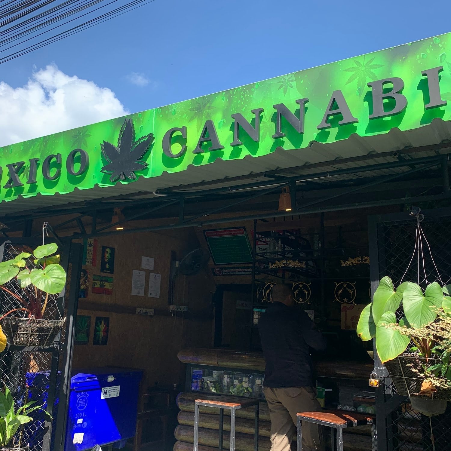 Mexico Cannabis