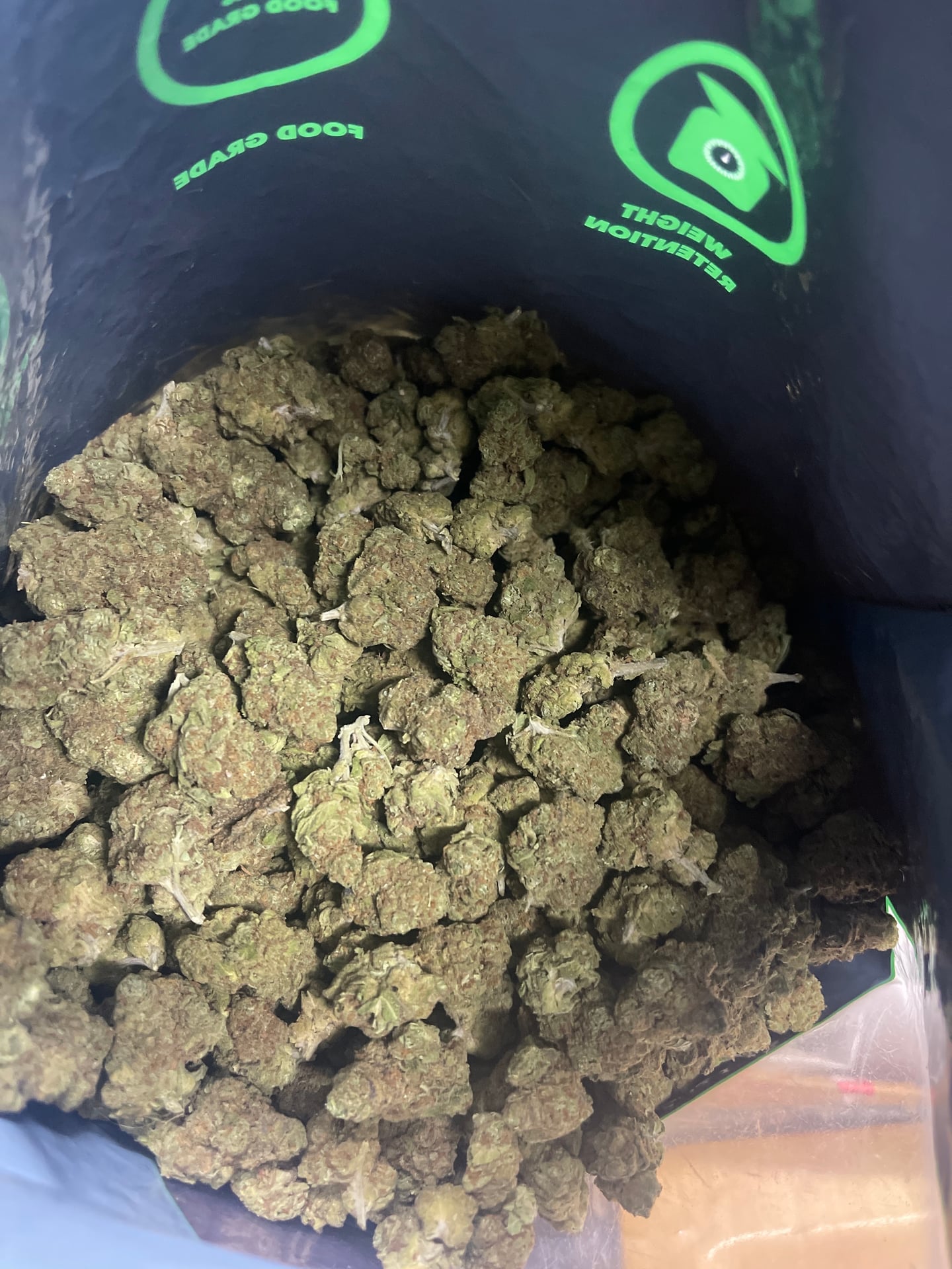 The Sun Weeds