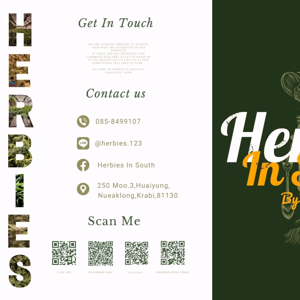 Dispensaire de cannabis Herbies In South Cannabis Store Enjoy Ao Nang à Krabi logo