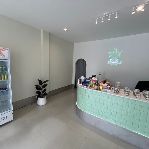 Flora Cannabis Town In Town