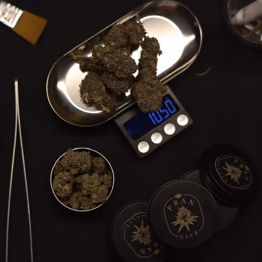 Cannabis Dispensary Pran Club Pattaya in Pattaya logo
