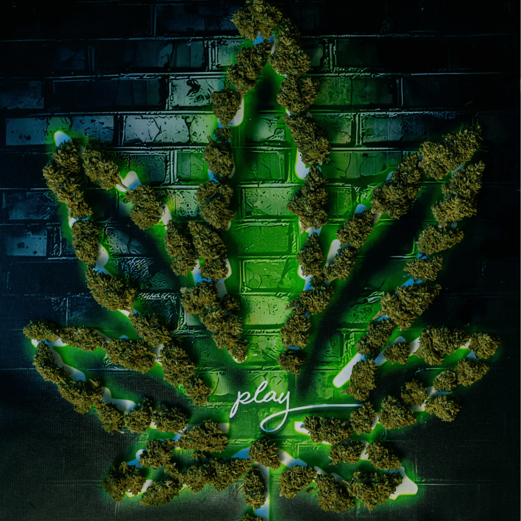 Kalashnikov Weeds Khao-Talo