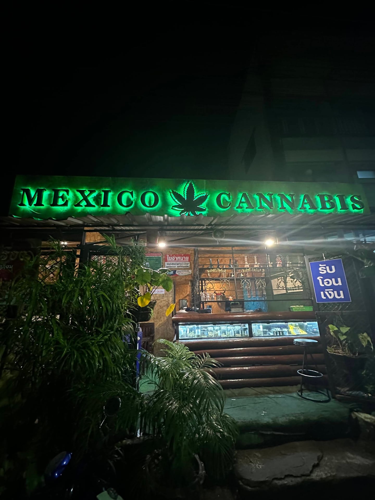 Mexico Cannabis
