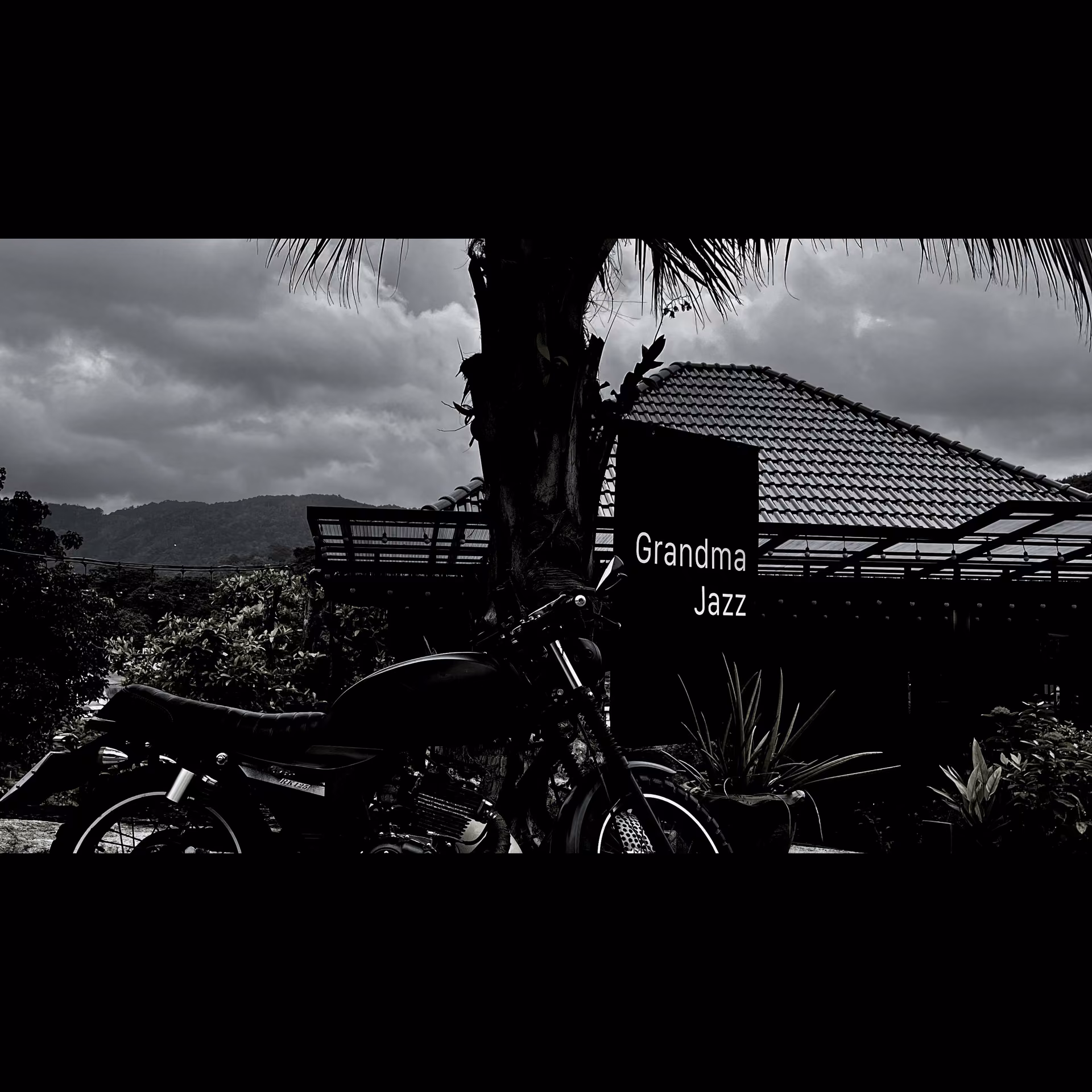Cannabis Dispensary Grandma Jazz - Cannabis in Phuket logo