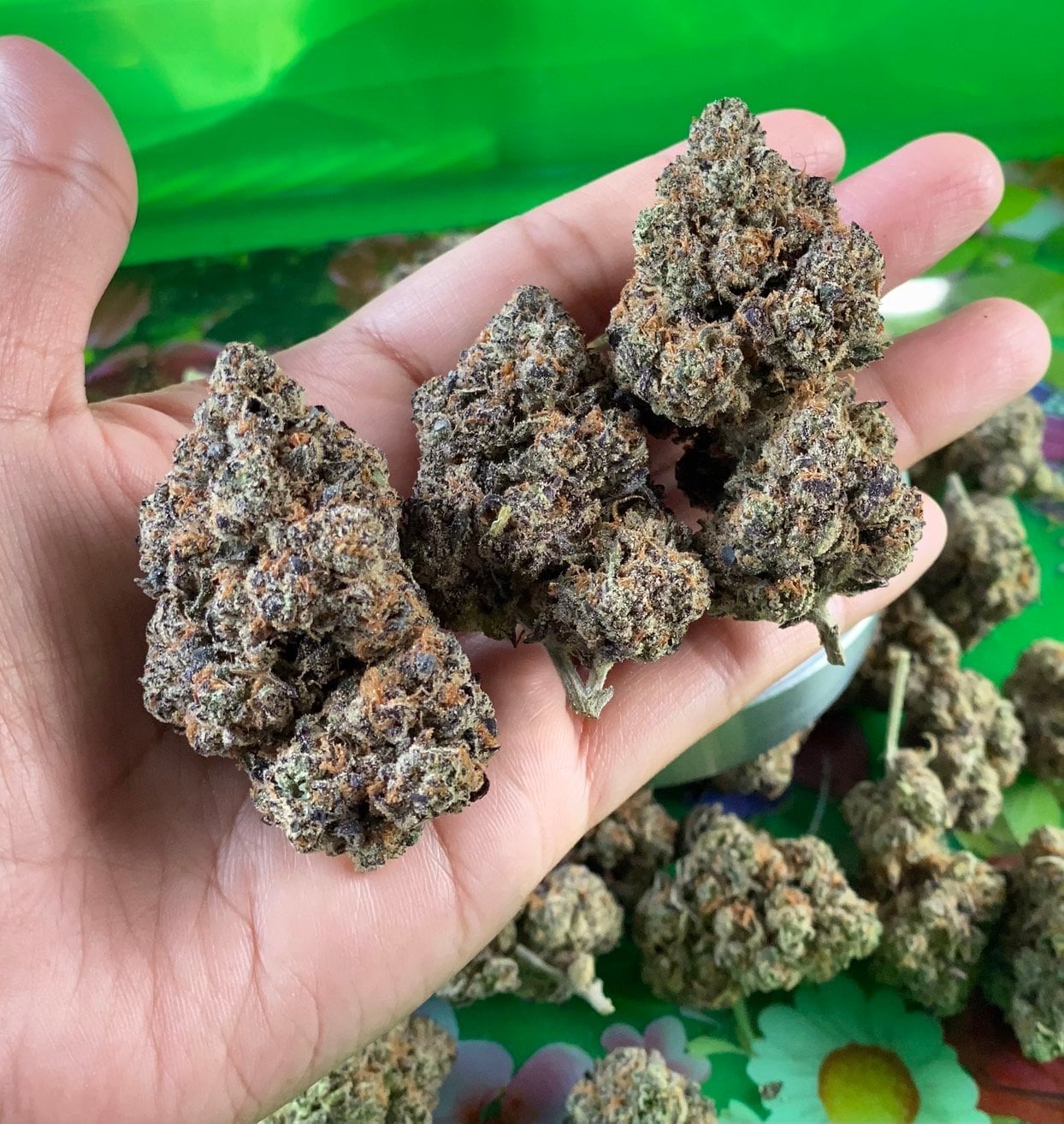 SmokeweedOG
