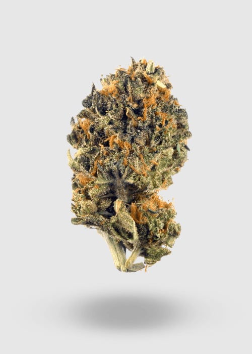 Climax Cannabis