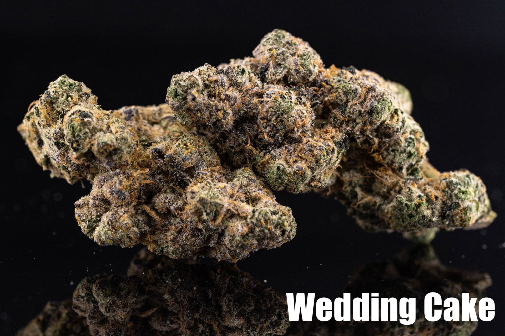 Cannabear