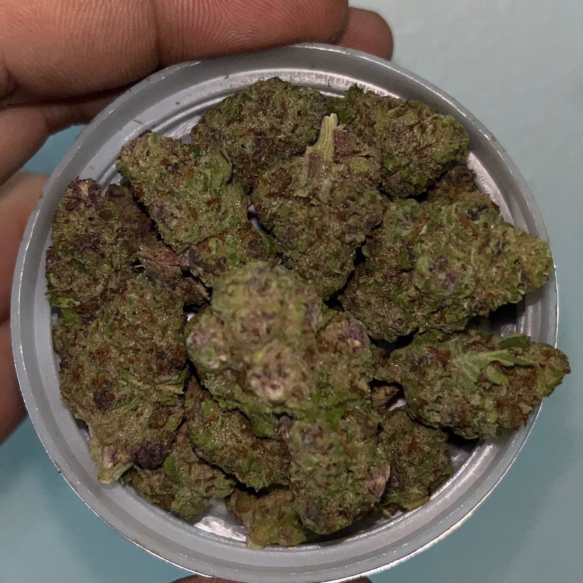 Cannabis